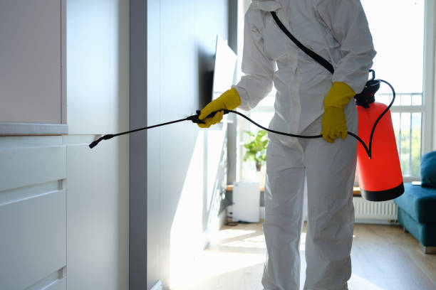 Mold Removal and Inspection in Eau Claire, WI